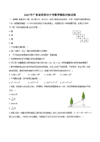 2025年广东省深圳市中考数学模拟冲刺试卷(含答案)