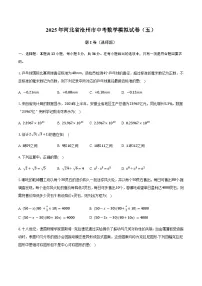 2025年河北省沧州市中考数学模拟试卷（五）（含答案）
