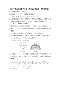2025年春九年级数学下册  期末综合测试卷（华师吉林版）