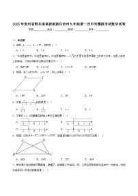 贵州省黔东南州2025届九年级下学期第一次中考模拟考试数学试卷(含解析)