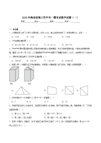 海南省海口市2025届九年级下学期中考一模数学试卷(含解析)