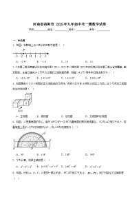 河南省洛阳市2025届九年级下学期中考一模数学试卷(含解析)