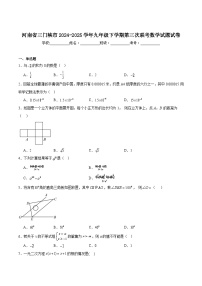 河南省三门峡市2025届九年级下学期第三次联考数学试卷(含解析)