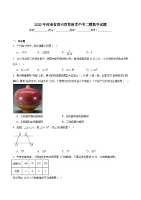 河南省郑州市登封市2025届九年级下学期中考二模数学试卷(含解析)