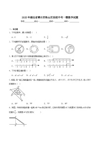 湖北省黄石市铁山区四校2025届九年级下学期中考一模数学试卷(含解析)