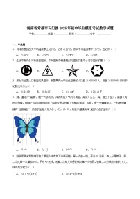 湖南省常德市石门县2025届九年级下学期中考一模数学试卷(含解析)