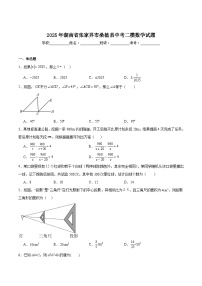 湖南省张家界市桑植县2025届九年级下学期中考二模数学试卷(含解析)