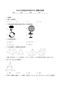 江苏省徐州市沛县2025届九年级下学期中考二模数学试卷(含解析)