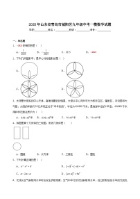 山东省青岛市城阳区2025届九年级下学期中考一模数学试卷(含解析)