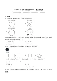 山东省潍坊市高密市2025届九年级下学期中考一模数学试卷(含解析)