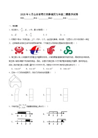 山东省枣庄市薛城区2025届九年级下学期中考二模数学试卷(含解析)