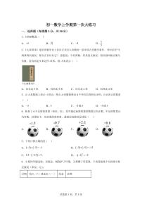 河南省洛阳市涧西区2024-2025学年上学期七年级数学月考试卷（含解析）
