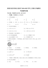 黑龙江省齐齐哈尔龙沙区2024~2025学年上学期七年级期中考试数学试卷（含解析）