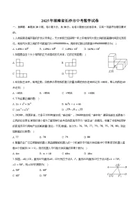 2025年湖南省长沙市中考数学试卷（含答案）