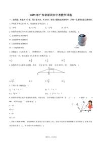 2025年广东省深圳市中考数学试卷（含答案）