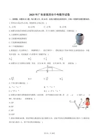 2025年广东省深圳市中考数学试卷（含解析）