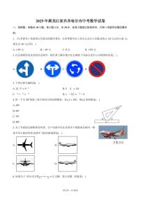 2025年黑龙江省齐齐哈尔市中考数学试卷（含解析）