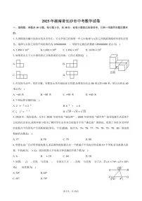 2025年湖南省长沙市中考数学试卷（含答案）