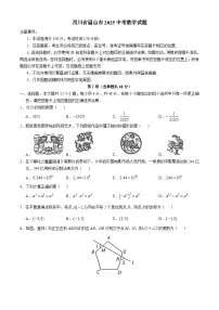 四川省眉山市2025中考数学真题(含部分答案）
