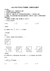 新疆维吾尔自治区2025届九年级下学期中考二模数学试卷(含解析)