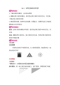 初中数学人教版（2024）八年级上册（2024）14.1 全等三角形及其性质教案