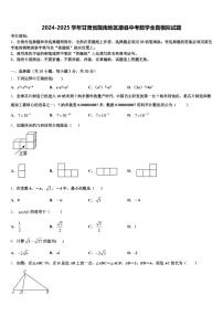 2024-2025学年甘肃省陇南地区康县中考数学全真模拟试题含解析
