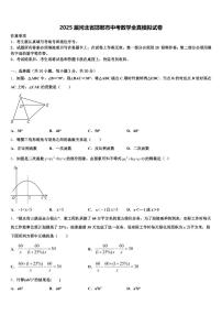 2025届河北省邯郸市中考数学全真模拟试卷含解析
