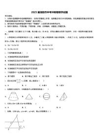 2025届洛阳市中考冲刺卷数学试题含解析