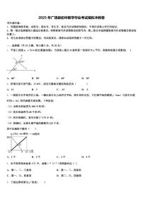 2025年广饶县初中数学毕业考试模拟冲刺卷含解析