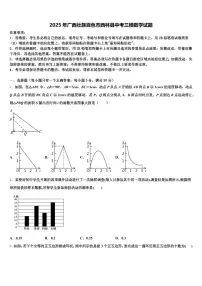 2025年广西壮族百色市西林县中考三模数学试题含解析