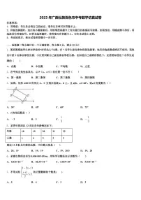 2025年广西壮族百色市中考数学仿真试卷含解析