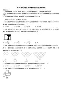 2025年长治市沁县中考数学适应性模拟试题含解析