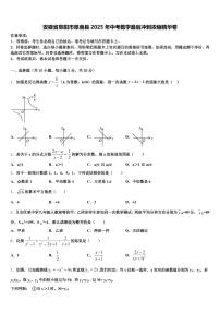 安徽省阜阳市阜南县2025年中考数学最后冲刺浓缩精华卷含解析