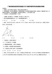 广西壮族自治区来宾市武宣县2025届初中数学毕业考试模拟冲刺卷含解析