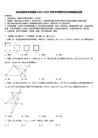 河北省保定市涞源县2024-2025学年中考数学对点突破模拟试卷含解析