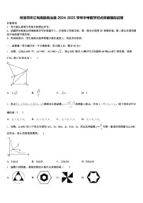 河池市环江毛南族自治县2024-2025学年中考数学对点突破模拟试卷含解析