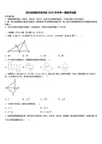 四川省绵阳市安州区2025年中考一模数学试题含解析