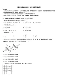 周口市项城市2025年中考数学模试卷含解析