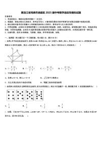 黑龙江省鸡西市滴道区2025届中考数学适应性模拟试题含解析
