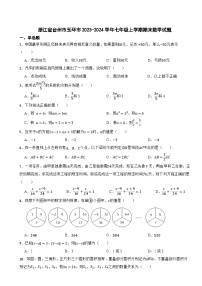浙江省台州市玉环市2023-2024学年七年级上学期期末数学试题