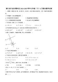 浙江省宁波市鄞州区2024-2025学年七年级（下）6月期末数学试卷