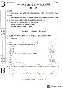2025年陕西省渭南市大荔中学学业水平考试九年级数学模拟试题(图片版，含答案)