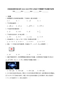河南省洛阳市洛龙区2024-2025学年七年级下学期期中考试数学试卷(含解析)