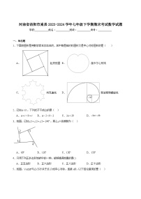 河南省洛阳市嵩县2023-2024学年七年级下学期期末考试数学试卷(含解析)