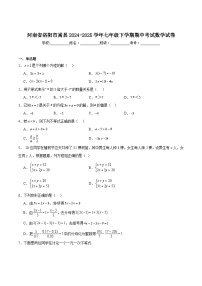 河南省洛阳市嵩县2024-2025学年七年级下学期期中考试数学试卷(含解析)