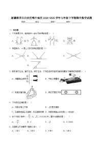 新疆维吾尔自治区喀什地区2024-2025学年七年级下学期5月期中数学试卷(含解析)