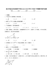 重庆市松树桥中学校2024-2025学年八年级下学期期中考试数学试卷(含解析)