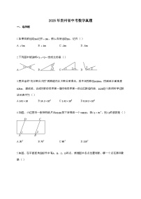 2025届贵州省中考数学真题[有答案]