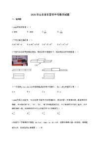 2025届山东省东营市中考数学试卷[有答案]
