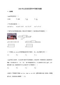 2025届山东省东营市中考数学试卷[有答案]